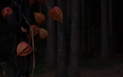 Interview d’un étudiant : Théo