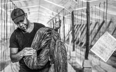 Interview de Lydia étudiante en filière photographie professionnelle